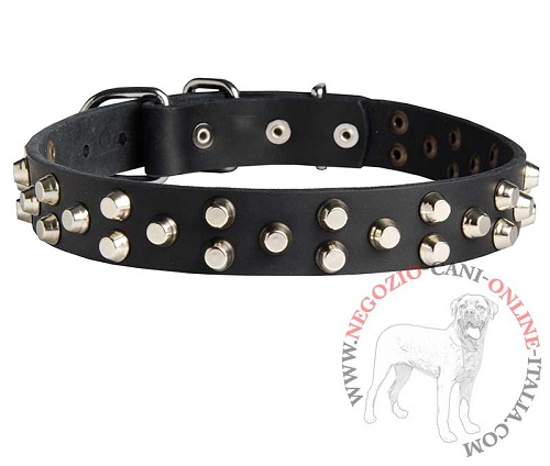 Collare in pelle con coni troncati Fancy Studs per Malinois