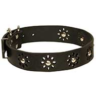 Splendido collare in pelle con decorazioni traforate Splendido collare in pelle con decorazioni traforate