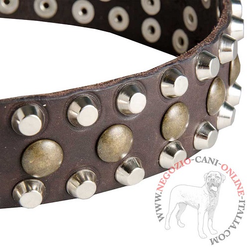 Decorazioni in acciaio e ottone del collare in pelle
per cane