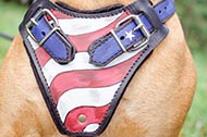Pettorina dipinta a mano "Bandiera americana" per Bullmastiff