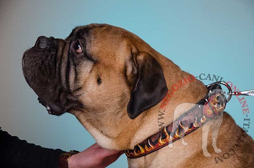 Collare con disegno di
fuoco per Bullmastiff