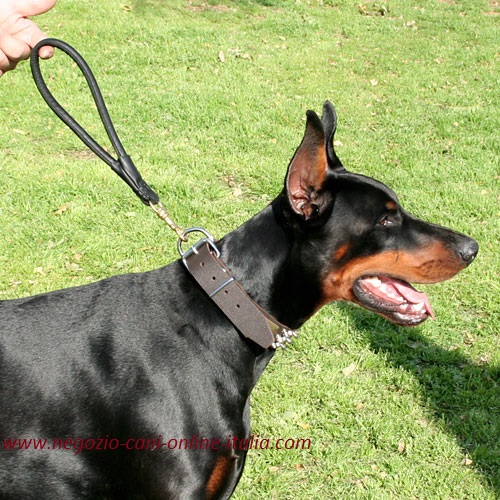 Affidabile e resistente guinzaglio corto per cani grandi
come Dobermann