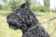 Collare in pelle doppia "Rattlesnake" per Terrier Nero Russo