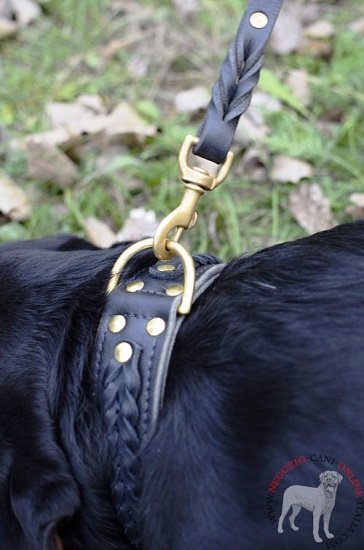 Collare decorato con striscia intrecciata per Rottweiler