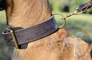 Collare in vero cuoio doppio "Double-layer" per Malinois Collare in vero cuoio doppio "Double-layer" per Malinois