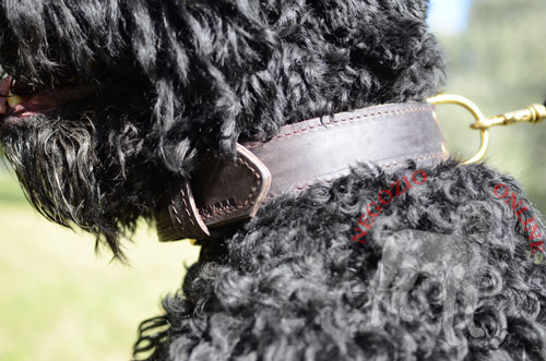 Robusto collare per cani forti come Terrier Nero Russo