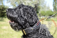 Collare in pelle doppia "Braided Classic" per Terrier Nero Russo