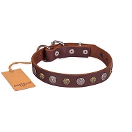 FDT Artisan - Collare marrone con medaglie dorate per cane