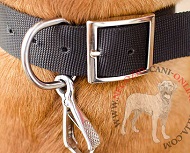 Leggero e resistente collare in nylon per Dogue de Bordeaux