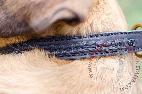 Collare a strozzo con striscia intrecciata per cane
