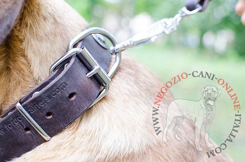 Collare in cuoio decorato per Cane Corso