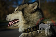 Collare in pelle "Column Style" per Alaskan Malamute Collare in pelle "Column Style" per Alaskan Malamute