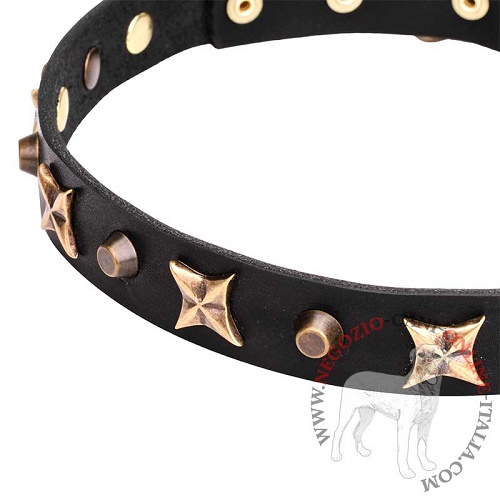 Collare in cuoio Four Cornered Stars per cane