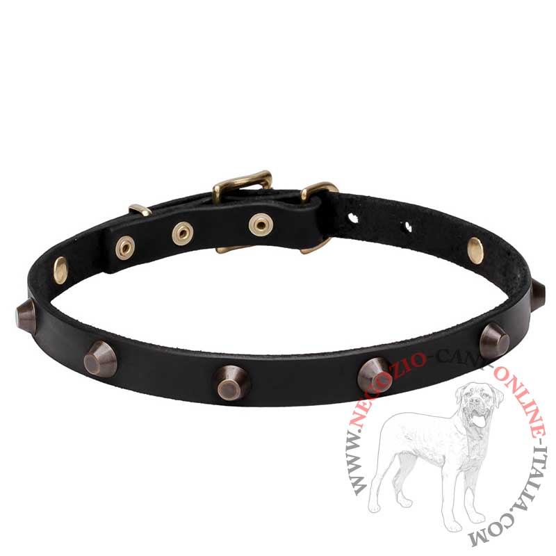 collare per cane piccolo / collare in pelle - €30.9