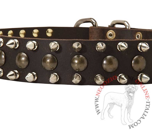 Il collare per cane è decorato con borchie a punta e
semisfere