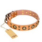 FDT Artisan - Collare in cuoio "Sophisticated Glamor" per cane