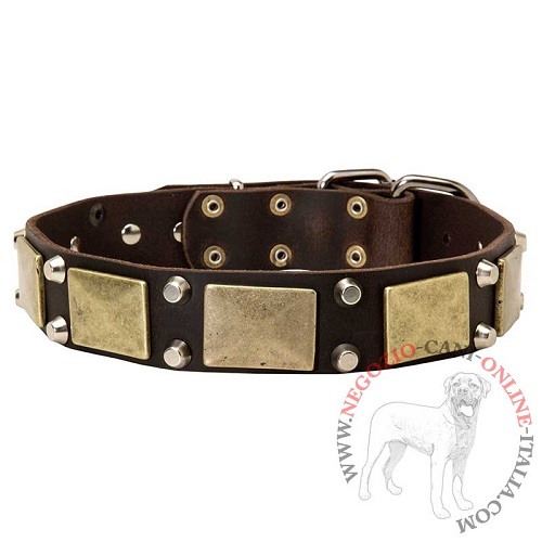 Collare in vera pelle decorato Solid Boss per Malinois