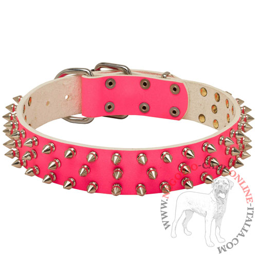 Collare rosa borchiato Spiked Holiday Collar Pink per cani