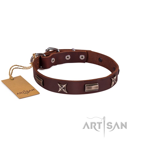 FDT Artisan - Collare marrone con esclusive decorazioni per cane