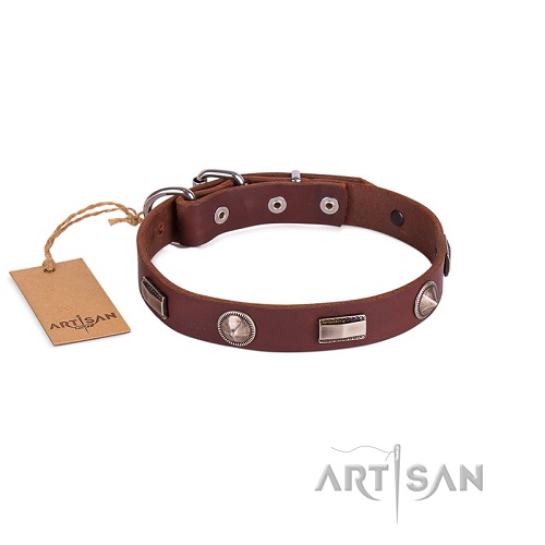 FDT Artisan - Collare marrone con decorazioni argentate per cane