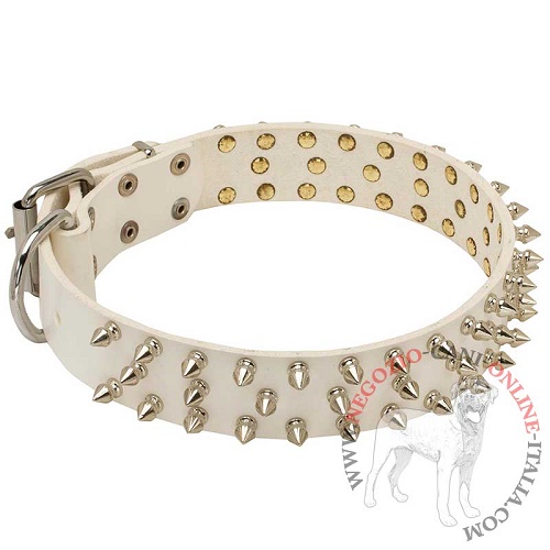 Collare bianco Spiked Holiday Collar White per Rottweiler