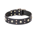 FDT Artisan - Collare in cuoio "Heavy Metal" per cane