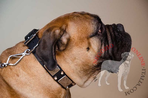 Collare
con piastrine bianche e
borchie a piramidi per Bullmastiff