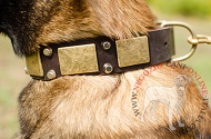Collare in vera pelle decorato "Solid Boss" per Malinois Collare in vera pelle decorato "Solid Boss" per Malinois
