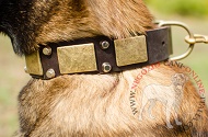 Collare in vera pelle decorato "Solid Boss" per Malinois