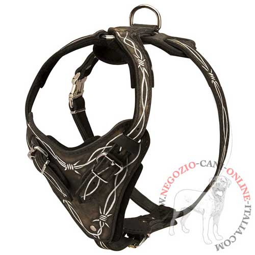 Pettorina in cuoio con disegno Barbed Wire per Terrier Nero Russo