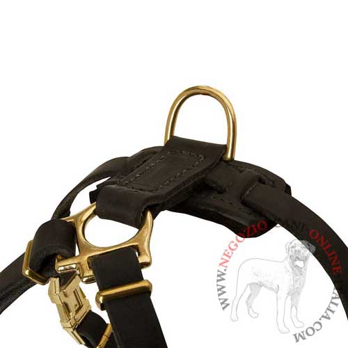 Resistenti parti accessorie della
pettorina per Bulldog Francese