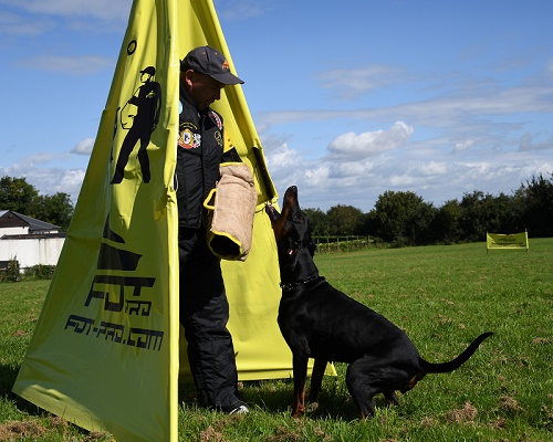 Manica protettiva per lavoro professionale del
cane