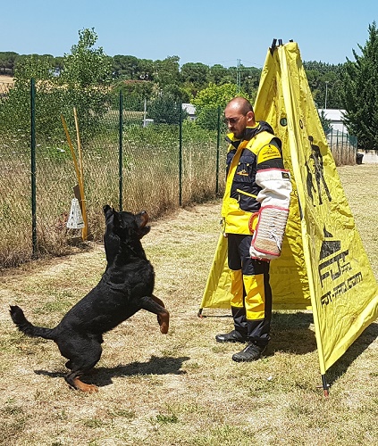 Tuta protettiva per gare sportive