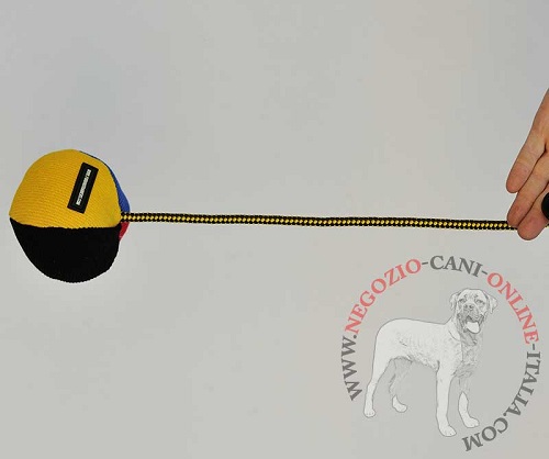 Palla per
gioco con
corda lunga 42 cm