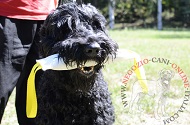 Tug in gomma "Interactive game" per Terrier Nero Russo