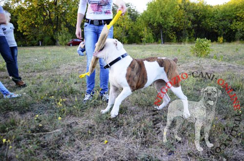 Riporto da mordere in pelle naturale con
due maniglie per cane grande