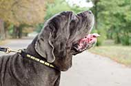 Raffinato collare di stile in pelle per Mastino Napoletano