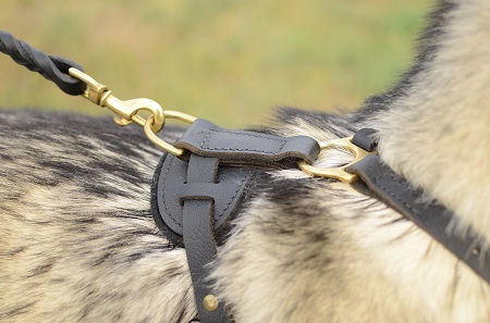 Pettorina in pelle naturale per passeggiate con Alaskan Malamute