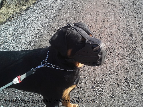 Museruola per cane