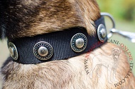 Collare in nylon "Exotic & Classic" per Malinois