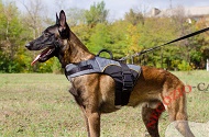 Pettorina in nylon "Support the Weak" per Malinois Pettorina in nylon "Support the Weak" per Malinois