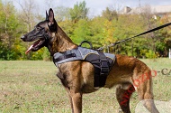 Pettorina in nylon "Support the Weak" per Malinois