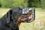 Museruola in metallo gommata "For all" per Rottweiler