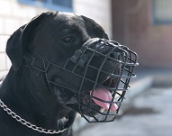 Museruola in metallo gommata "For all" per Cane Corso Museruola in metallo gommata "For all" per Cane Corso