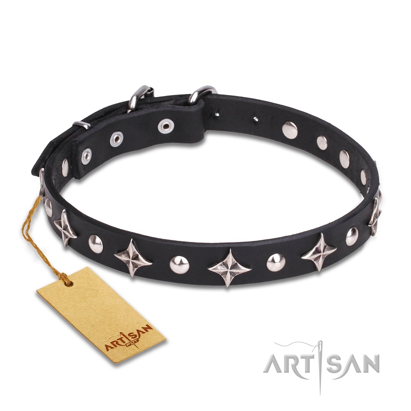 FDT Artisan - Collare "Pleiades" per cane, largo 2,5 cm - Clicca l'immagine per chiudere