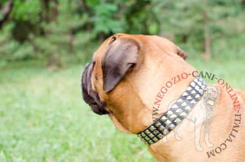 Collare in pelle decorato "Premium Finery" per Bullmastiff - Clicca l'immagine per chiudere