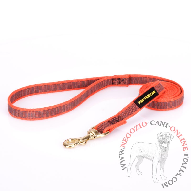 Guinzaglio di colore arancione in nylon gommato per cane - Clicca l'immagine per chiudere
