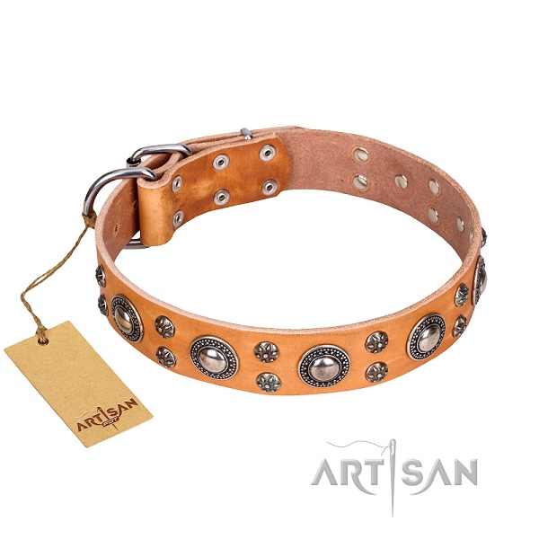 FDT Artisan - Collare in cuoio tan "Extra Sparkle" per cane - Clicca l'immagine per chiudere