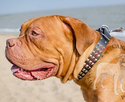 Straordinario collare con piramidi per Dogue de Bordeaux - Clicca l'immagine per chiudere