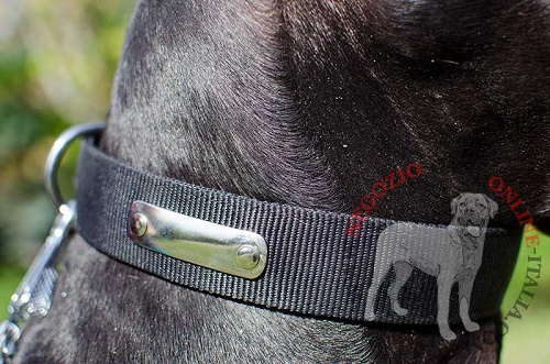 Collare in nylon personalizzato "Unparalleled" per Alano - Clicca l'immagine per chiudere